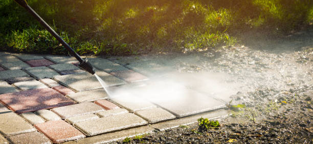 Best Solar Panel Cleaning  in East Dundee, IL